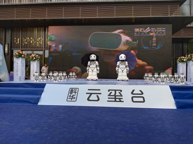 機(jī)器人年會服務(wù)天團(tuán) 2020文化用品創(chuàng)意策劃方案