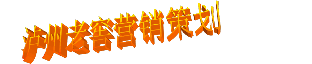 瀘州老窖市場營銷策劃ppt